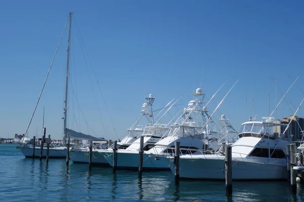 West Palm Beach Florida Mars 2018 Segelbåtar Och Yachter Sailfish — Stockfoto