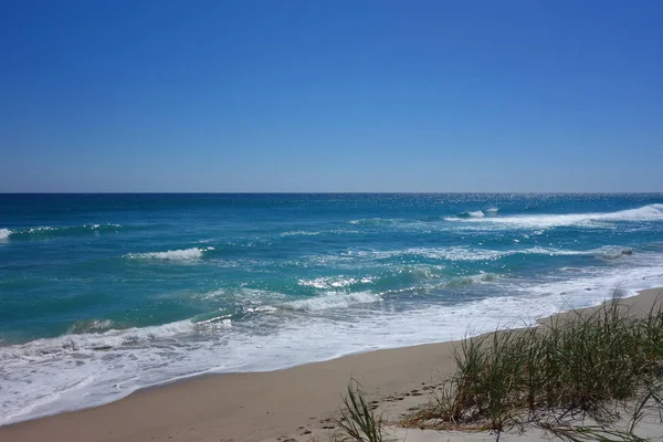 Αμμόλοφους Και Κύματα Στην Παραλία Της Φλόριντα — Φωτογραφία Αρχείου