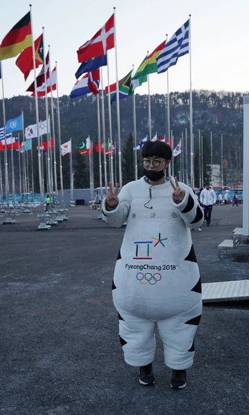 Pyeongchang South Korea February 2018 Soohorang Adalah Maskot Resmi Olimpiade — Stok Foto