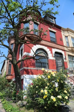 Brooklyn, New York - 26 Mayıs 2016: Alice ve akik Mahkemeleri tarihi bölgesinde Brooklyn'de. Brooklyn mimar Walter M. Coots Queen Anne tarzı tarafından tasarlanan satırları özgün görünümünü korumak