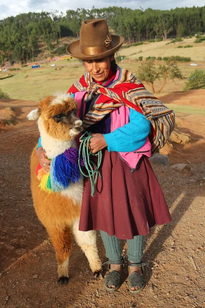 Cuzco Peru Oktober 2016 Peruanische Frau Traditioneller Kleidung Mit Alpaka — Stockfoto