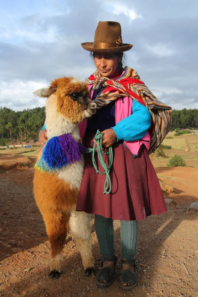 Cuzco Perú Octubre 2016 Mujer Peruana Traje Tradicional Con Alpaca —  Fotos de Stock