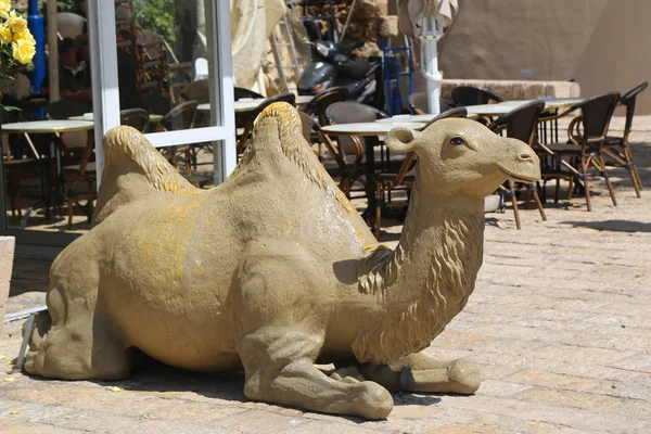 Tel Aviv Jaffa Israël April 2017 Zodiac Fontein Oude Stad — Stockfoto