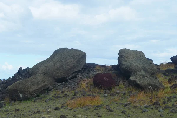 Moui Caído Isla Pascua Chile Isla Pascua Tiene Menos 313 — Foto de Stock