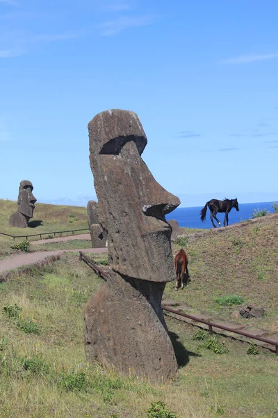 Moai Dzikie Konie Kamieniołomie Wyspa Wielkanocna Chile — Zdjęcie stockowe