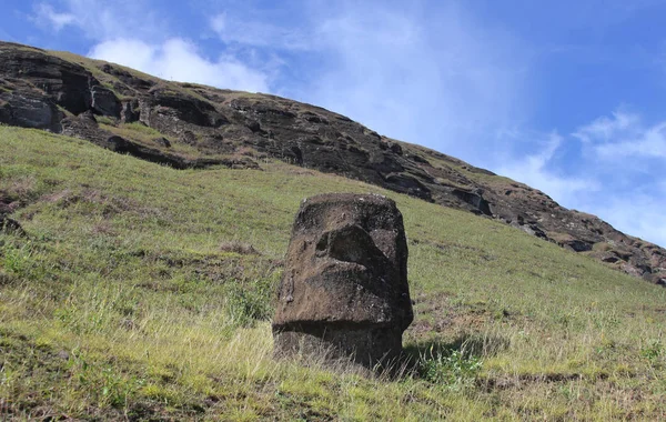 Moai Carrière Île Pâques Chili — Photo