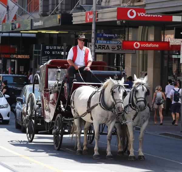 メルボルン オーストラリア 2019年1月25日 メルボルンの路上で馬車 メルボルンの観光客の間で馬車が人気があります — ストック写真