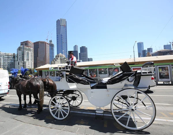 Melbourne Australia Enero 2019 Carruaje Tirado Por Caballos Calle Melbourne — Foto de Stock