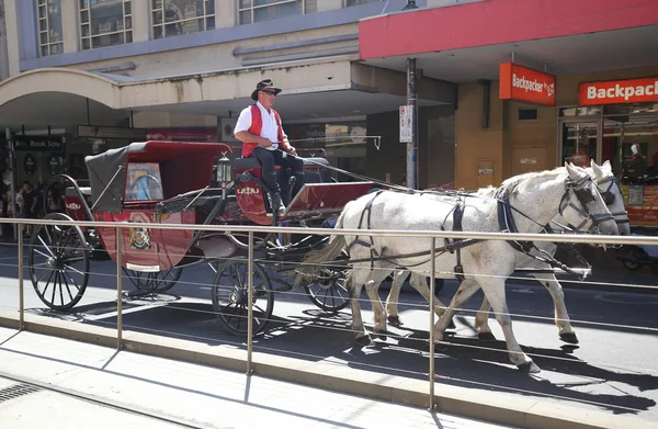 Melbourne Australia Enero 2019 Carruaje Tirado Por Caballos Calle Melbourne — Foto de Stock