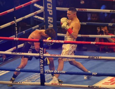 New York - 6 Aralık 2018: Brooklyn, Ny 'den hafif sıklet boksör Teofimo Lopez New York Madison Square Garden' da Mason Menard 'a karşı dövüşürken