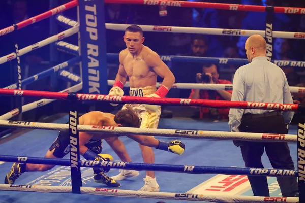 New York December 2018 Lätt Division Professionell Boxare Teofimo Lopez — Stockfoto