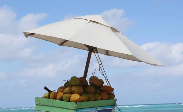 Beach Stand Coconuts Dominican Republic — Stock Photo, Image