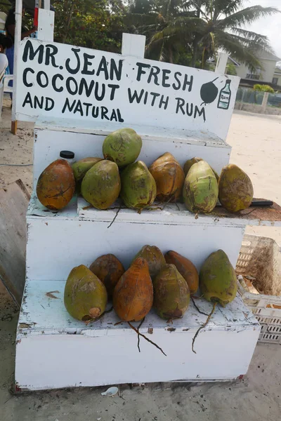 Beach Stand Coconuts Dominican Republic — Stock Photo, Image