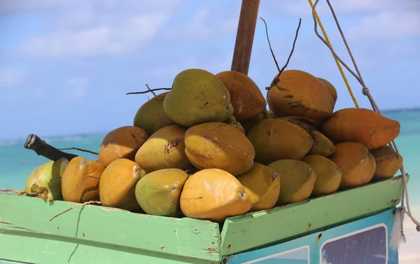 Stand Spiaggia Con Noci Cocco Repubblica Dominicana — Foto Stock