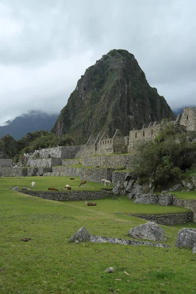 Ruinas Machu Picchu Perú Patrimonio Mundial Unesco Desde 1983 — Foto de Stock