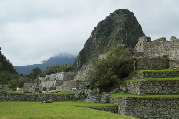Ερείπια Του Μάτσου Πίτσου Στο Περού Μνημείο Παγκόσμιας Κληρονομιάς Της — Φωτογραφία Αρχείου
