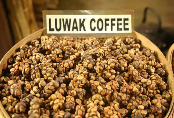 Kopi luwak ya da misk kahve, kahve dünyanın en pahalı ve düşük üretim çeşitleri biridir