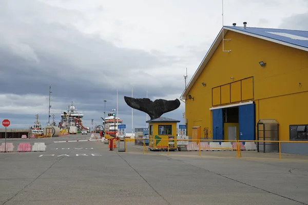 Punta Arenas Чилі Січня 2020 Морський Порт Пунта Аренас Чилі — стокове фото