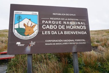 Hornos Adası, Şili 'deki Cabo de Hornos Ulusal Parkı' nın görüntüsü. Horn Burnu, Şili 'nin güneyindeki Tierra del Fuego takımadasının en güneydeki burnu olup, küçük Hornos Adası' nda bulunur..