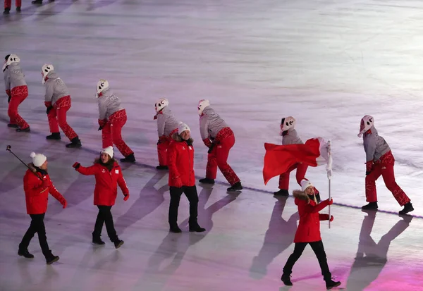 2018年2月9日 平昌で開催された冬季オリンピック開会式において マルタ代表チームの旗を掲げたアルパインスキーヤーのエリス ペレグリン選手がマルタの国旗を掲揚 — ストック写真