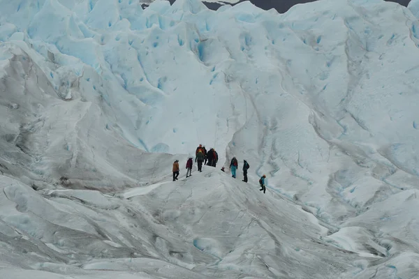 Calafate Argentina Fevereiro 2020 Grupo Crampons Vestindo Turistas Caminhando Glaciar — Fotografia de Stock