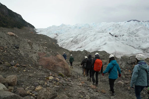 Calafate Argentina Şubat 2020 Arjantin Güneybatısındaki Santa Cruz Eyaletindeki Los — Stok fotoğraf