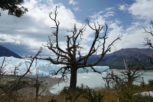 Perito Moreno Glacier Národním Parku Los Glaciares Jihozápadní Provincii Santa — Stock fotografie