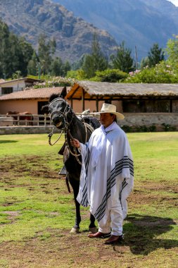 URUBAMBA, PERU - 1 Ekim 2016: Peru Gaucho Urubamba 'daki Paso At, Kutsal Vadi, Peru