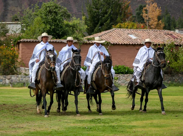 Urubamba Pérou 1Er Octobre 2016 Gaucho Péruvien Cheval Paso Urubamba — Photo