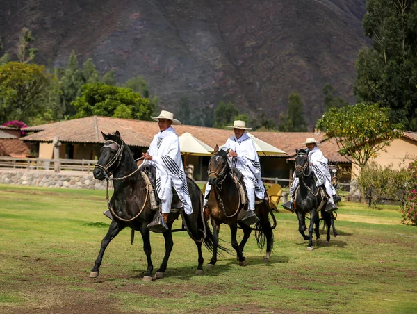Urubamba Peru Październik 2016 Peruwiański Gaucho Koniu Paso Urubambie Święta — Zdjęcie stockowe