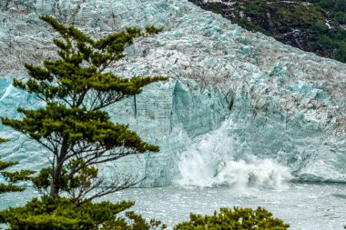 Pia Glacier in Park Nacional Alberto de Agostini in the Beagle Channel of Patagonia, Şili