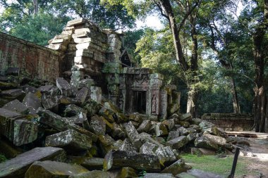 Antik kalıntılar ve ağaç kökleri, Ta Prohm tapınağı, Angkor, Kamboçya