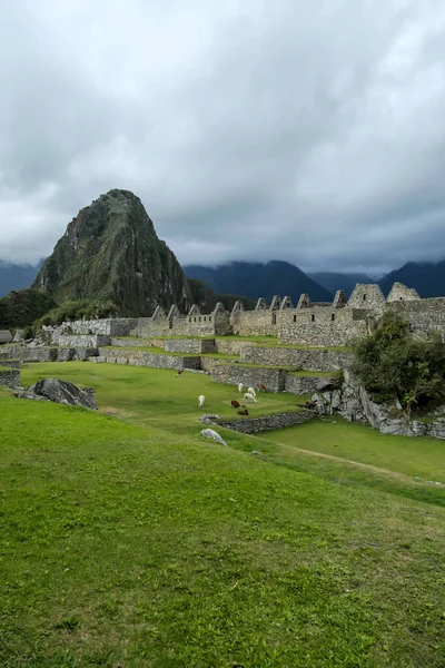 Ruinas Machu Picchu Perú Patrimonio Humanidad Por Unesco Desde 1983 — Foto de Stock