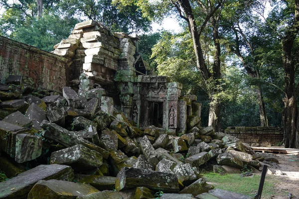 柬埔寨吴哥Ta Prohm寺的古代遗址和树根 — 图库照片
