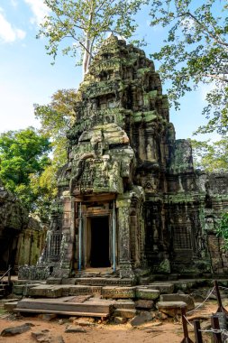 Antik kalıntılar ve ağaç kökleri, Ta Prohm tapınağı, Angkor, Kamboçya