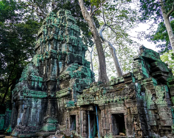 Antiguas Ruinas Raíces Árboles Templo Prohm Angkor Camboya —  Fotos de Stock
