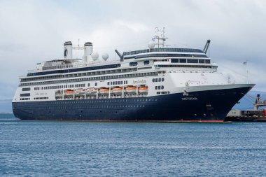 USHUAIA, ARGENTINA - 5 Şubat 2020: Hollanda Amerikan Gemi Amsterdam Ushuaia, Arjantin 'e yanaştı. Holland America Line, 1873 yılında kurulmuş bir İngiliz yolcu gemisidir.