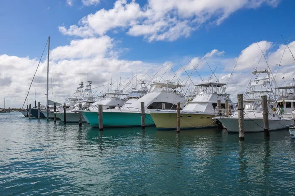 West Palm Beach Florida March 2019 Sailboats Yachts Sailfish Marina — 图库照片