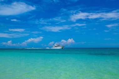 Bahamalar 'ın Eleuthera adasında güzel bir Tay Bay Sahili
