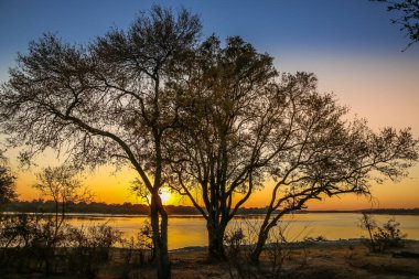Zambezi Nehri üzerinde gün doğumu