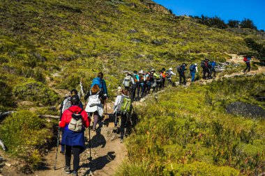 EL CHALTEN, ARGENTINA - 6 Şubat 2020: Macera turistleri Los Glaciares Ulusal Parkı, Santa Cruz Eyaleti, Arjantin 'deki Laguna Torre patikasında yürüyüş yapıyorlar
