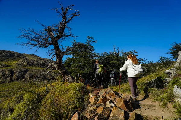 Chalten Argentine Février 2020 Randonnée Touristique Aventure Sentier Laguna Torre — Photo