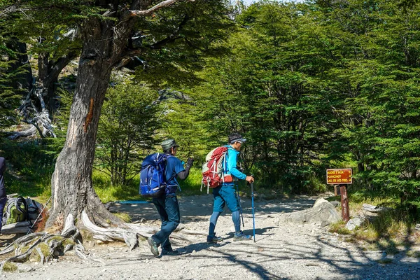 Chalten Argentine Février 2020 Randonnée Touristique Aventure Sentier Laguna Torre — Photo