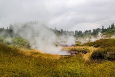 Wairakei Termal Vadisi, Yeni Zelanda 'da çok güzel gayzerleri olan Ay' ın kraterleri..
