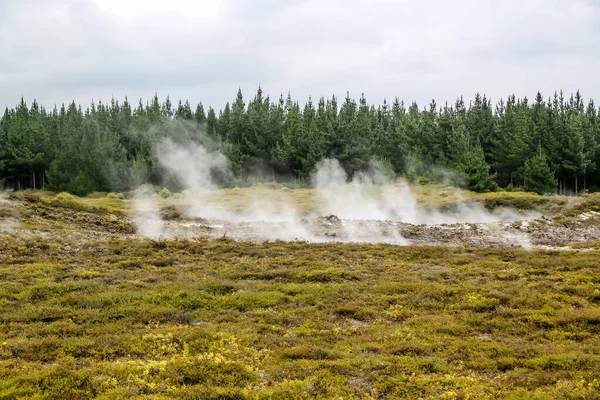 Kratery Księżycowym Obszarze Termalnym Pięknymi Gejzerami Wairakei Thermal Valley Nowa — Zdjęcie stockowe