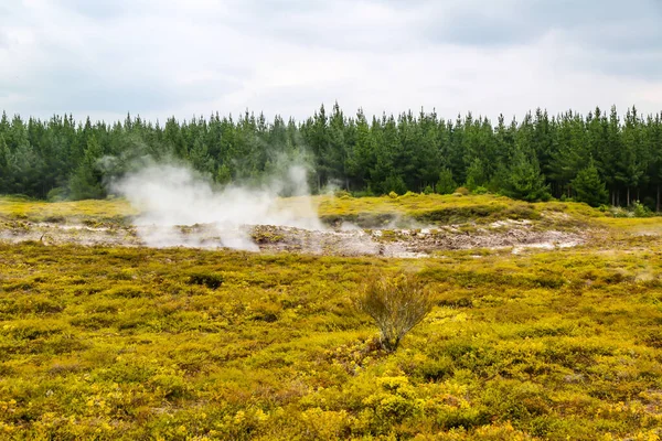 Kratery Księżycowym Obszarze Termalnym Pięknymi Gejzerami Wairakei Thermal Valley Nowa — Zdjęcie stockowe