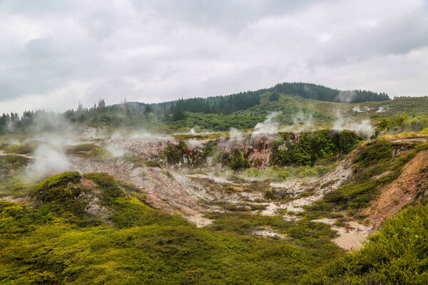 Craters of the Moon Thermal Area with beautiful geysers in Wairakei Thermal Valley, New Zealand.