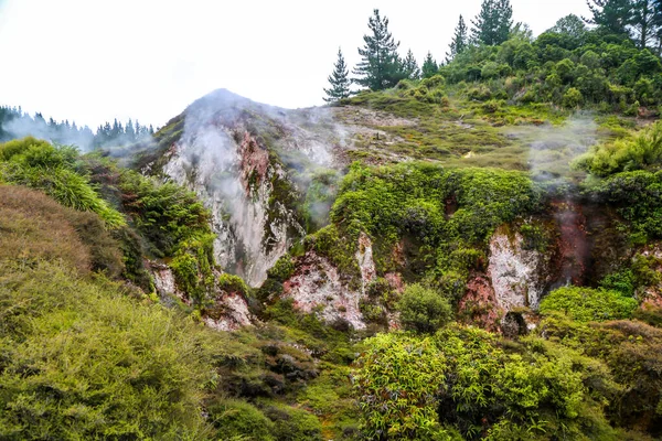 Craters Moon Thermal Area Όμορφους Θερμοπίδακες Στο Wairakei Thermal Valley — Φωτογραφία Αρχείου