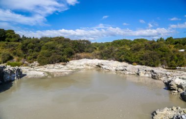 Yeni Zelanda, Rotorua 'daki Hell' s Gate Jeotermal Rezerv ve Mud Spa 'da Hurutini termal havuzu.