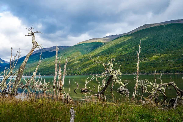 Lago Fangano Tierra Del Fuego — Fotografia de Stock